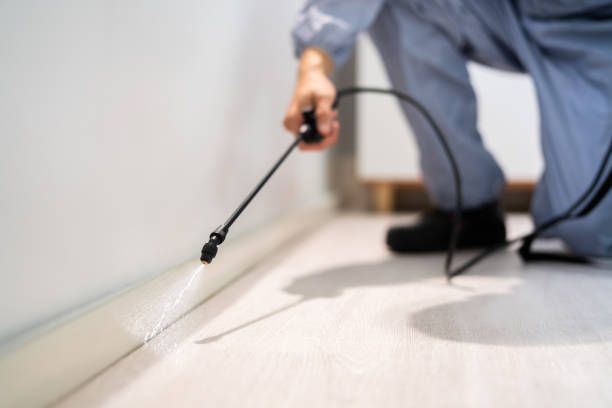 Licensed Pest Control service in Shields, MI - Show Me Pest Control