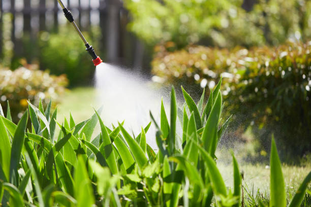 24/7 Emergency Mosquito Control experts in Shields, MI